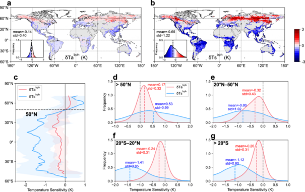 Observed different impacts of potential tree restoration on local surface and air temperature