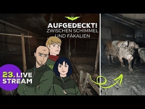 TeamTierschutz erreicht unglaubliches