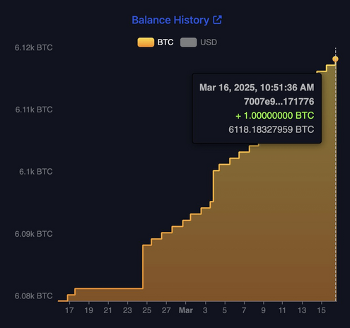 El Salvador Just Bought the Bitcoin Dip Again - Stacking Sats Like a Nation-State Boss