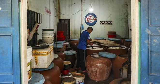Climate change and overfishing threaten Vietnam’s ancient tradition of making fish sauce | Food