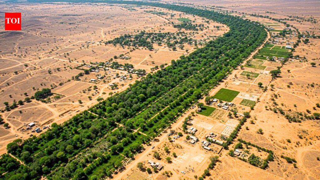 After the Great Wall of China, Africa is building an 8,000-km 'Wall of Trees' to fight climate change, restore land and feed millions |