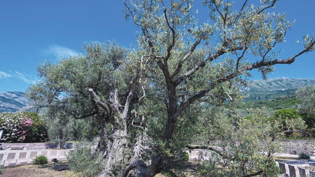 The Jerusalem Post - Israel News
