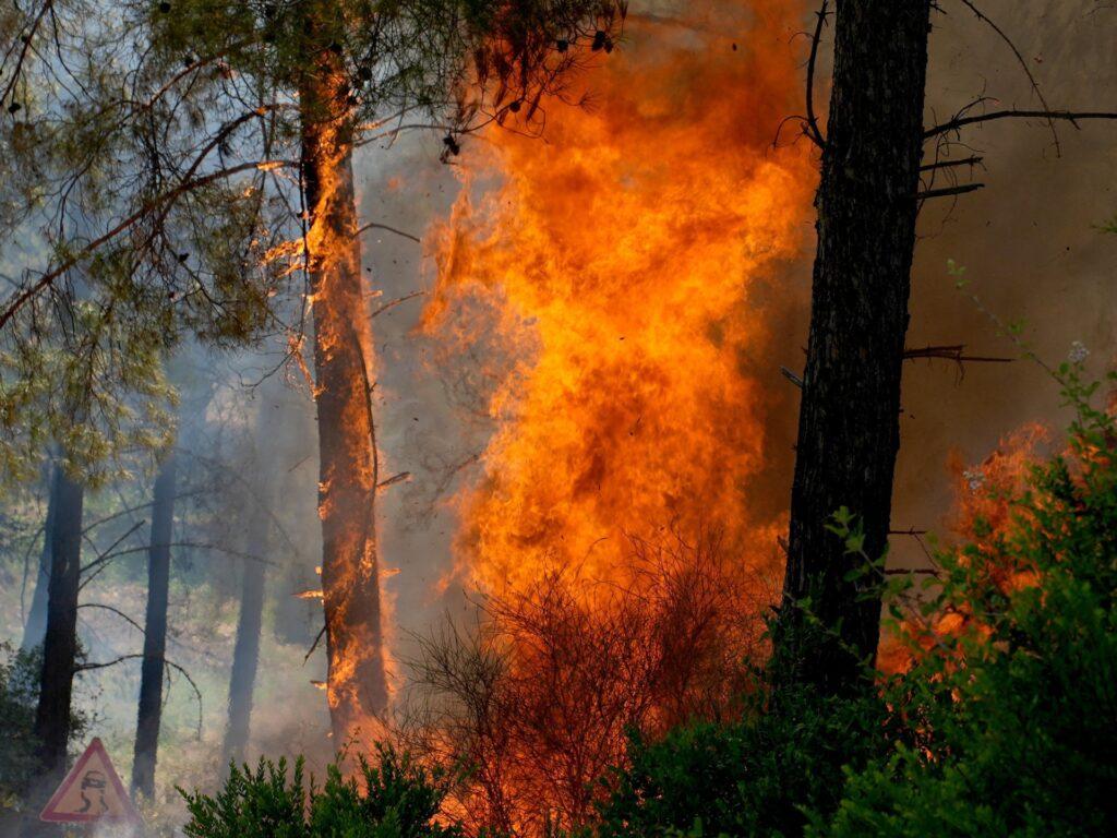 Europe’s heating climate sparks ‘major intensification’ of fires: Report | Climate News